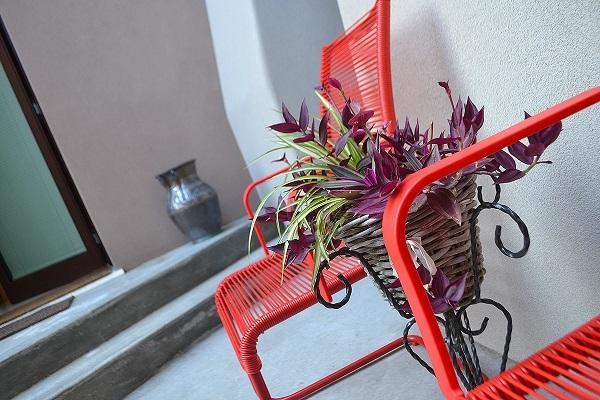 Bed and Breakfast La Salvia E Il Lampone Pove del Grappa Exterior foto