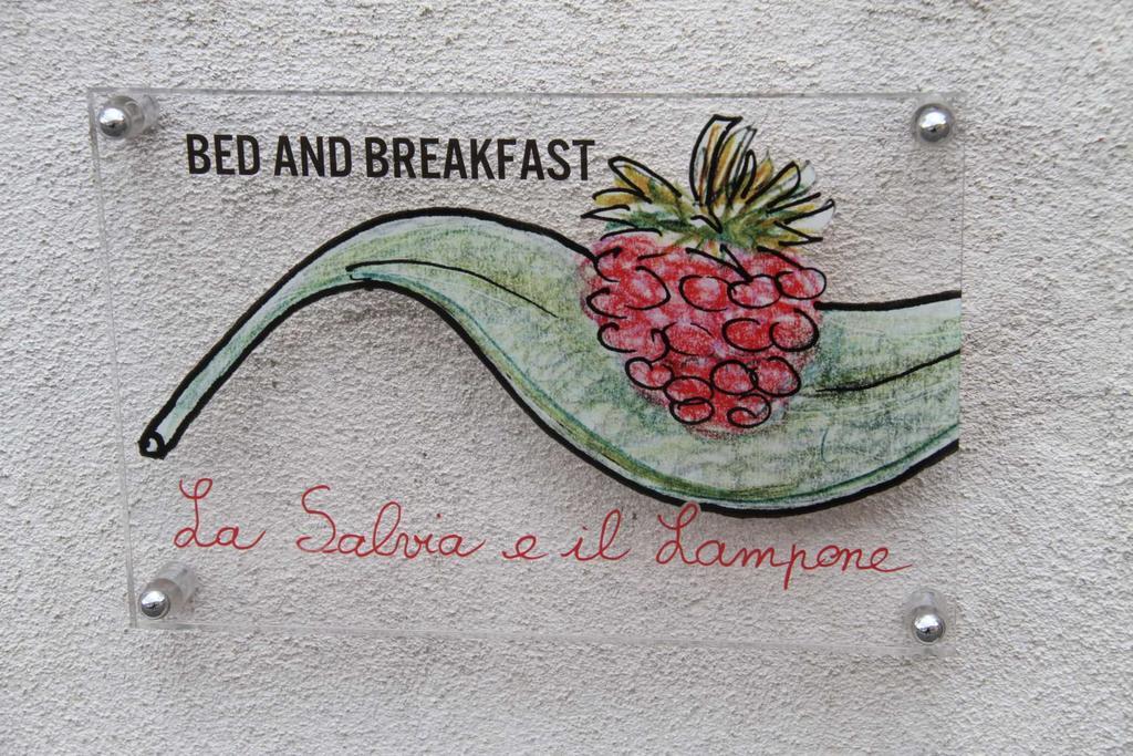 Bed and Breakfast La Salvia E Il Lampone Pove del Grappa Exterior foto